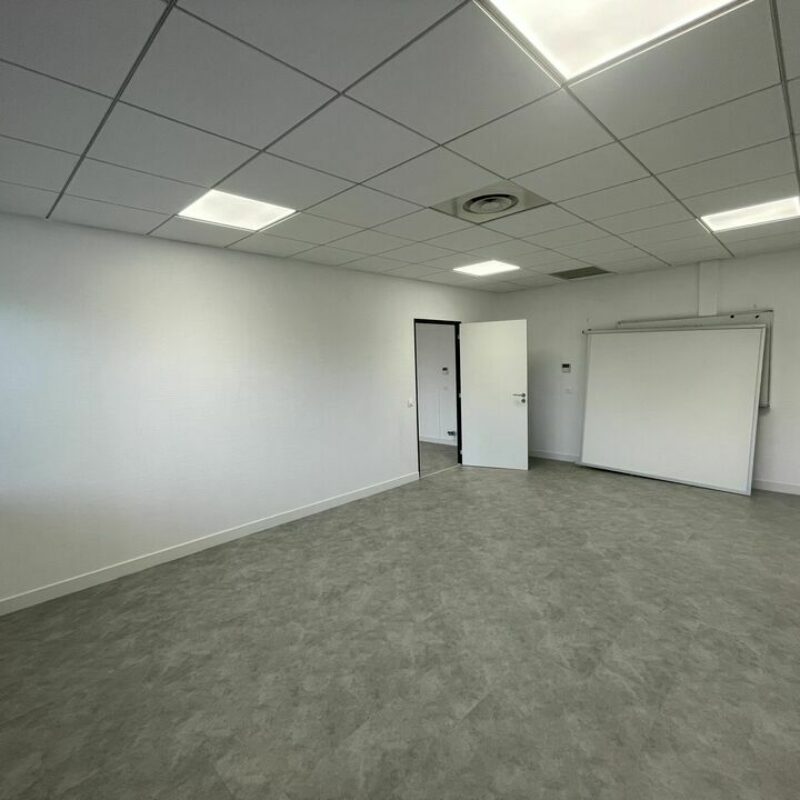 Location - 65 m² - OBERHAUSBERGEN - 5