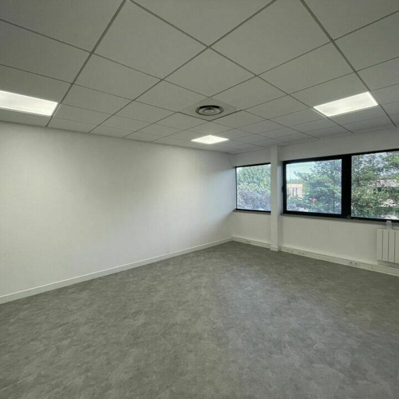 Location - 65 m² - OBERHAUSBERGEN - 4