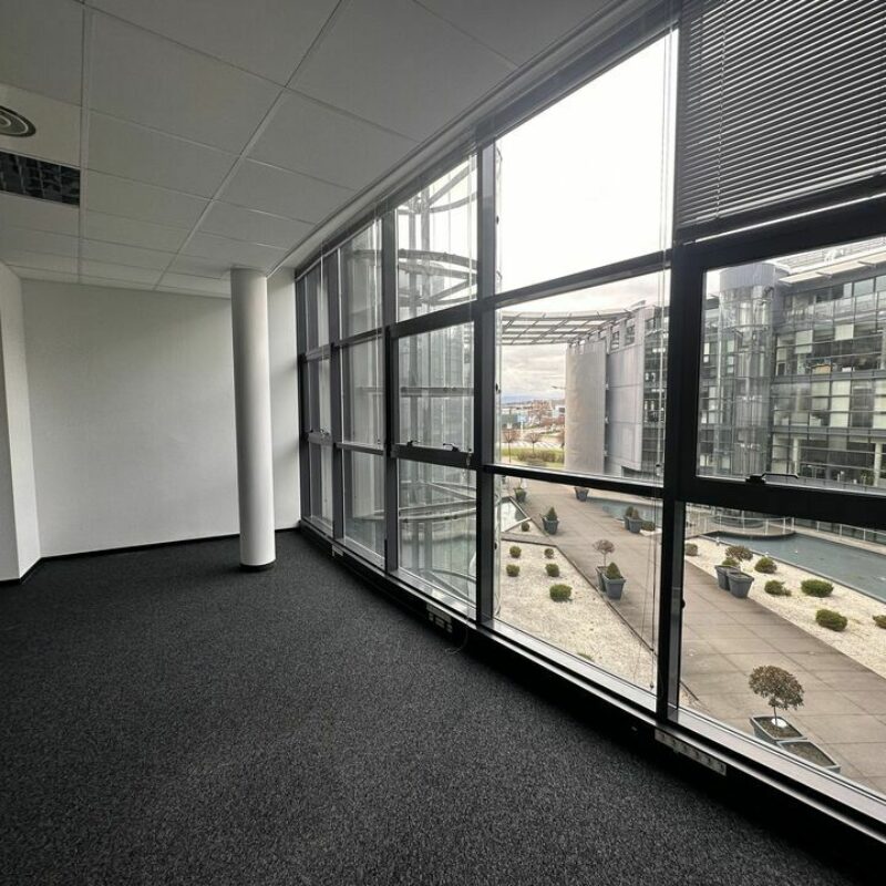 Location - 1366 m² - SCHILTIGHEIM - 5