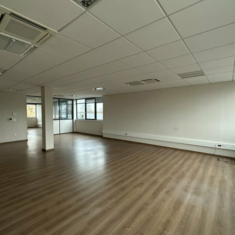 Location - 280 m² - BISCHHEIM - 3