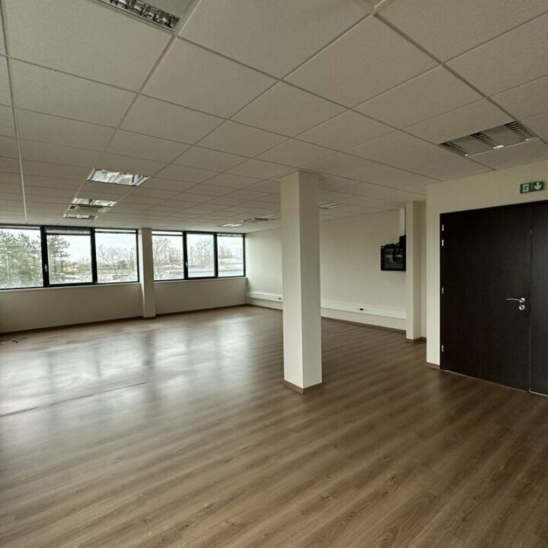 Location - 280 m² - BISCHHEIM - 2