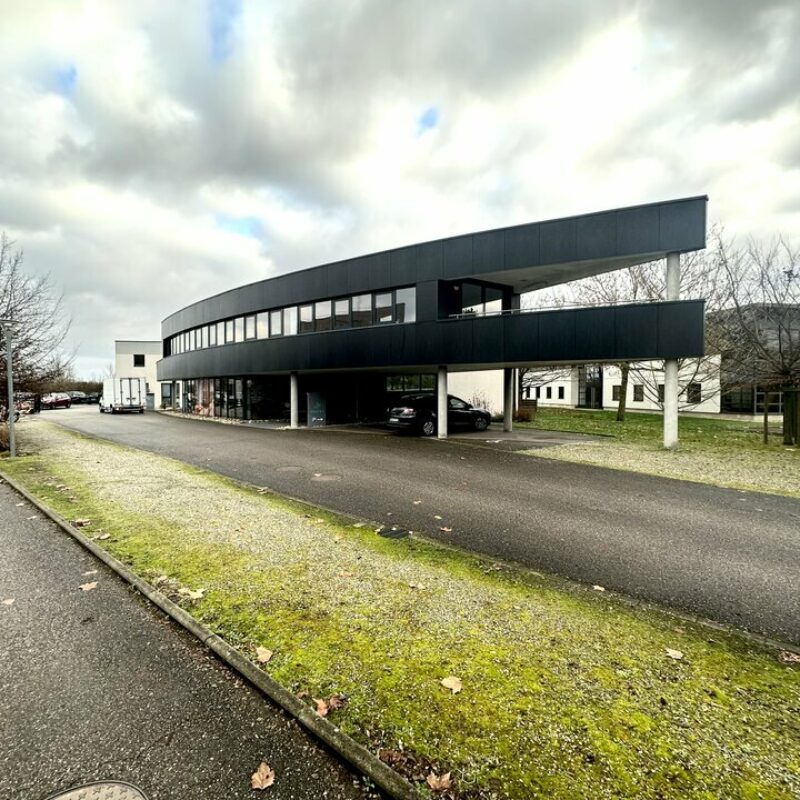 Location - 352.11 m² - ENTZHEIM - 1