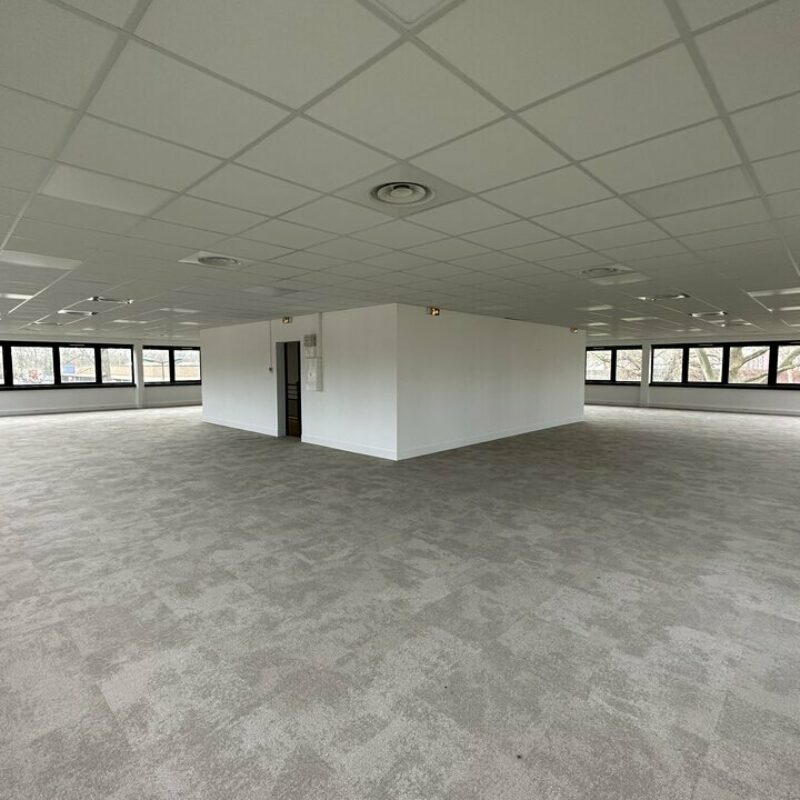 Location - 395.8 m² - LINGOLSHEIM - 4