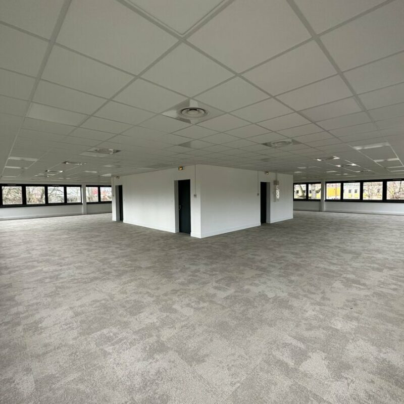 Location - 395.8 m² - LINGOLSHEIM - 5