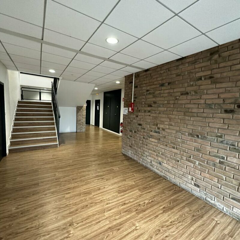 Location - 395.8 m² - LINGOLSHEIM - 2