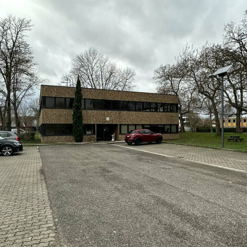 Location - 395.8 m² - LINGOLSHEIM - 1