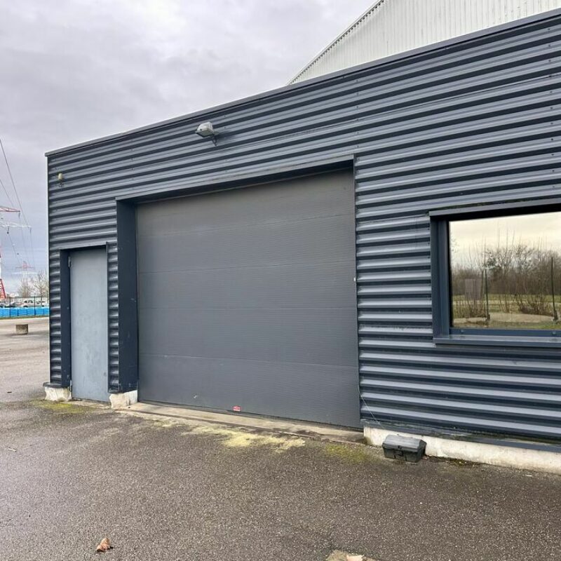 Location - 762 m² - WOLFISHEIM - 3