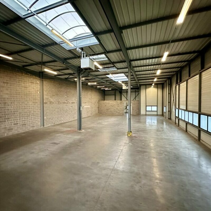 Location - 762 m² - WOLFISHEIM - 1