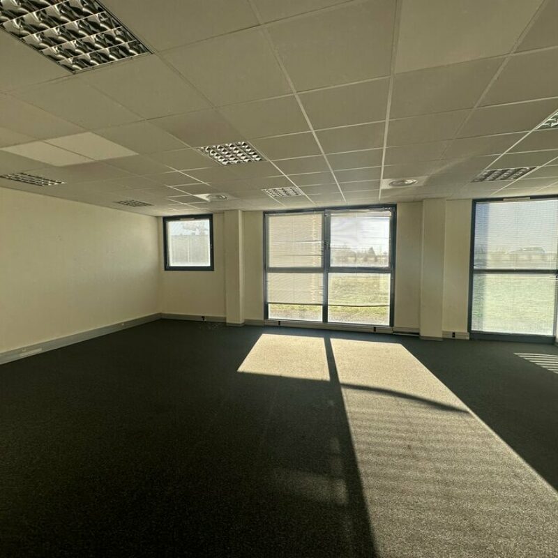 Location - 256 m² - ENTZHEIM - 2