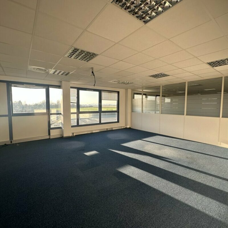 Location - 256 m² - ENTZHEIM - 4