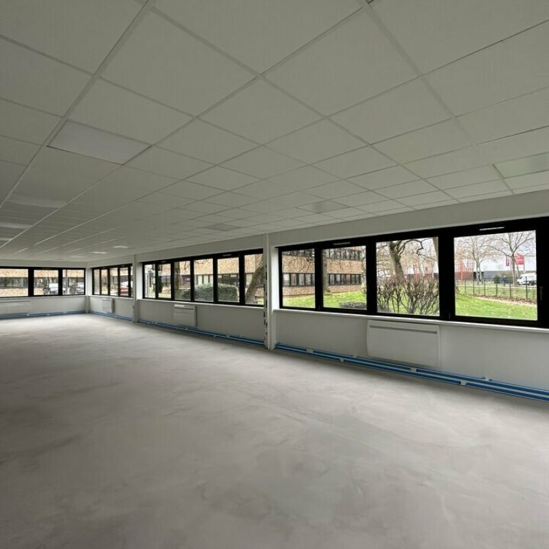 Location - 507.4 m² - LINGOLSHEIM - 3