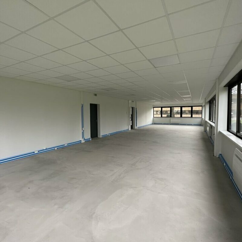 Location - 507.4 m² - LINGOLSHEIM - 2