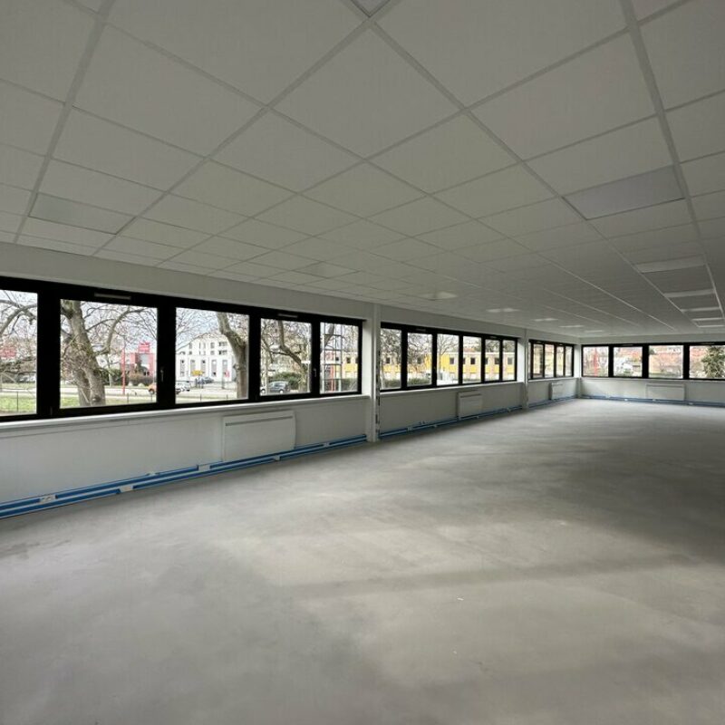 Location - 507.4 m² - LINGOLSHEIM - 4