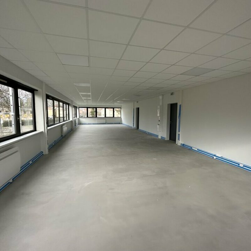 Location - 507.4 m² - LINGOLSHEIM - 5