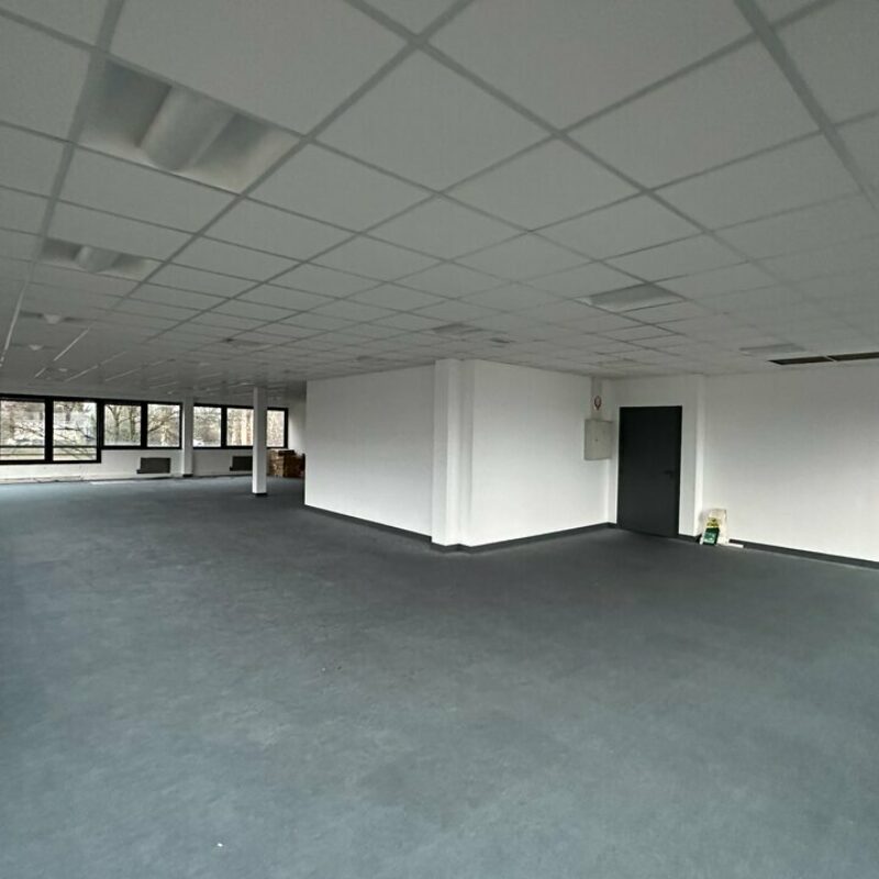 Location - 300 m² - STRASBOURG - 2