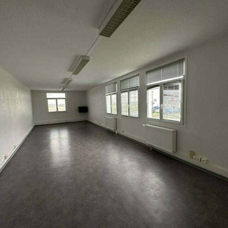 Location - 846.6 m² - ENTZHEIM - 2