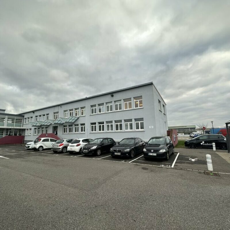 Location - 846.6 m² - ENTZHEIM - 1