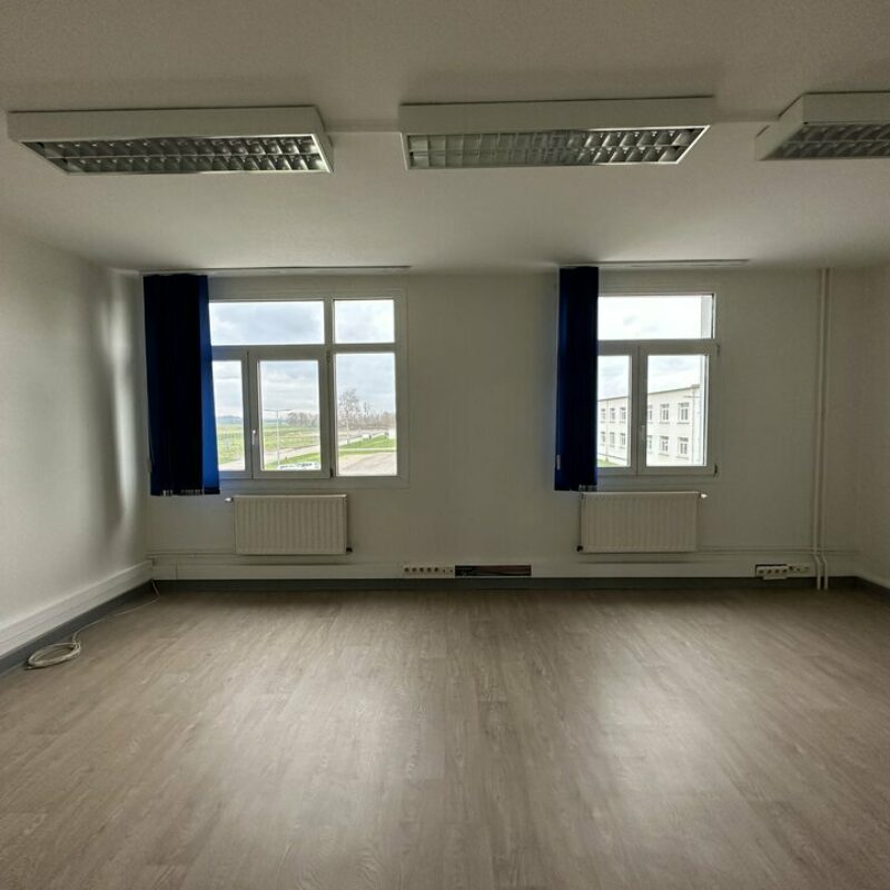 Location - 347.57 m² - ENTZHEIM - 4