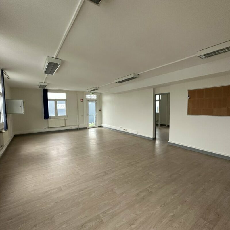 Location - 347.57 m² - ENTZHEIM - 2