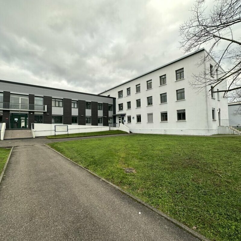 Location - 347.57 m² - ENTZHEIM - 1