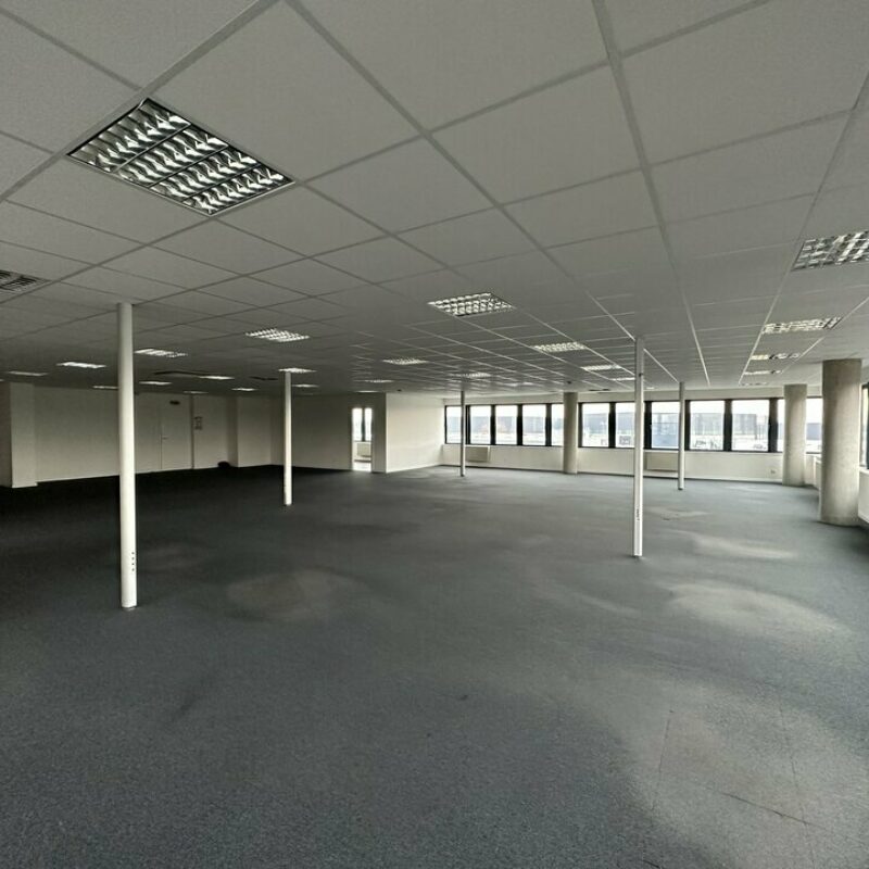 Vente - 599 m² - ENTZHEIM - 2