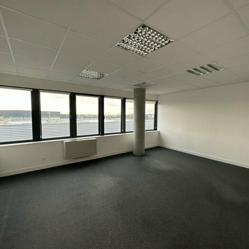 Vente - 599 m² - ENTZHEIM - 5