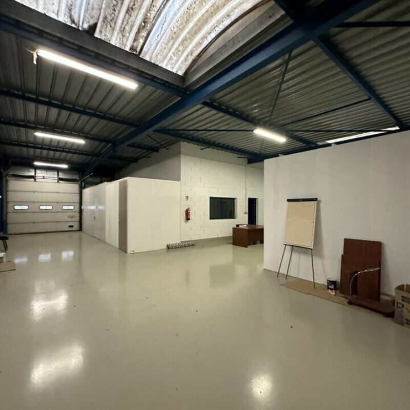 Vente - 552 m² - GEISPOLSHEIM - 2