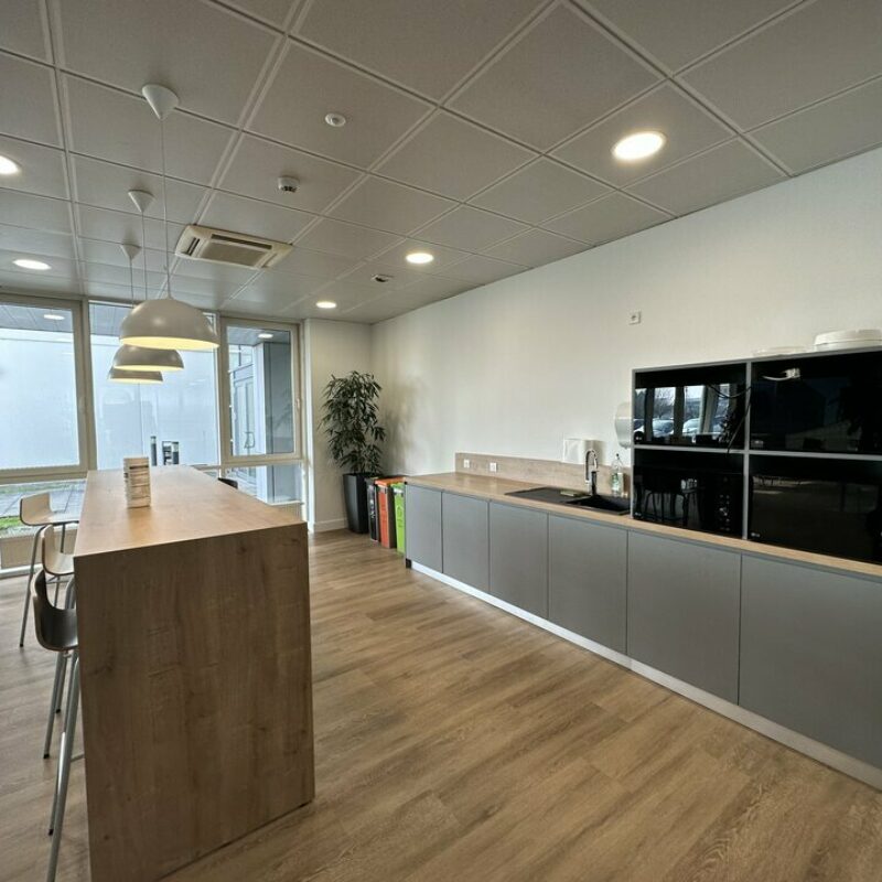 Location - 3376 m² - SCHILTIGHEIM - 5