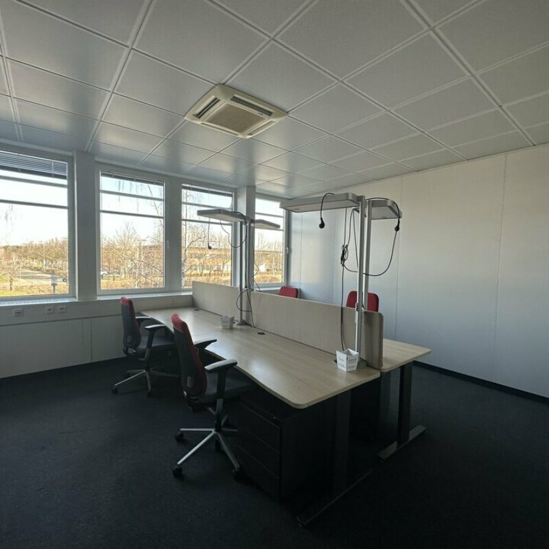 Location - 3376 m² - SCHILTIGHEIM - 3