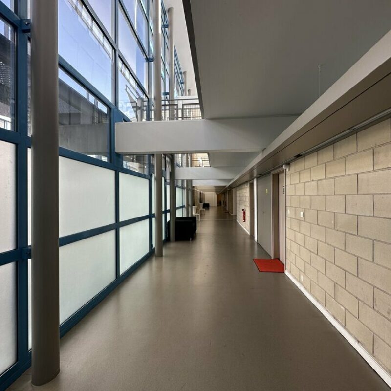 Location - 792.47 m² - SCHILTIGHEIM - 3