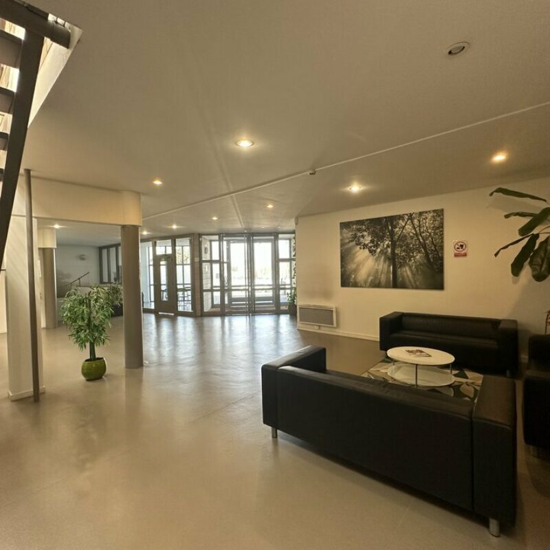 Location - 792.47 m² - SCHILTIGHEIM - 5