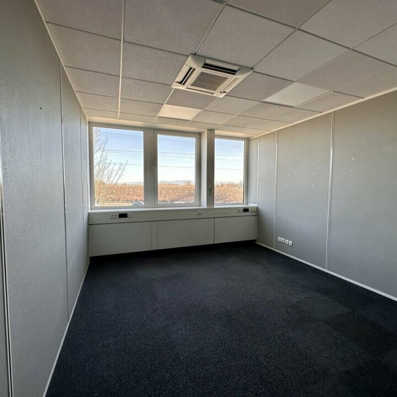 Location - 1272 m² - MUNDOLSHEIM - 3