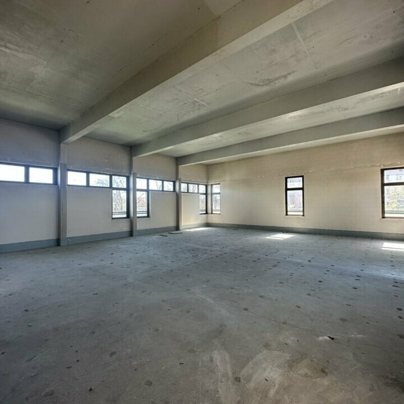Vente - 801 m² - SELESTAT - 2