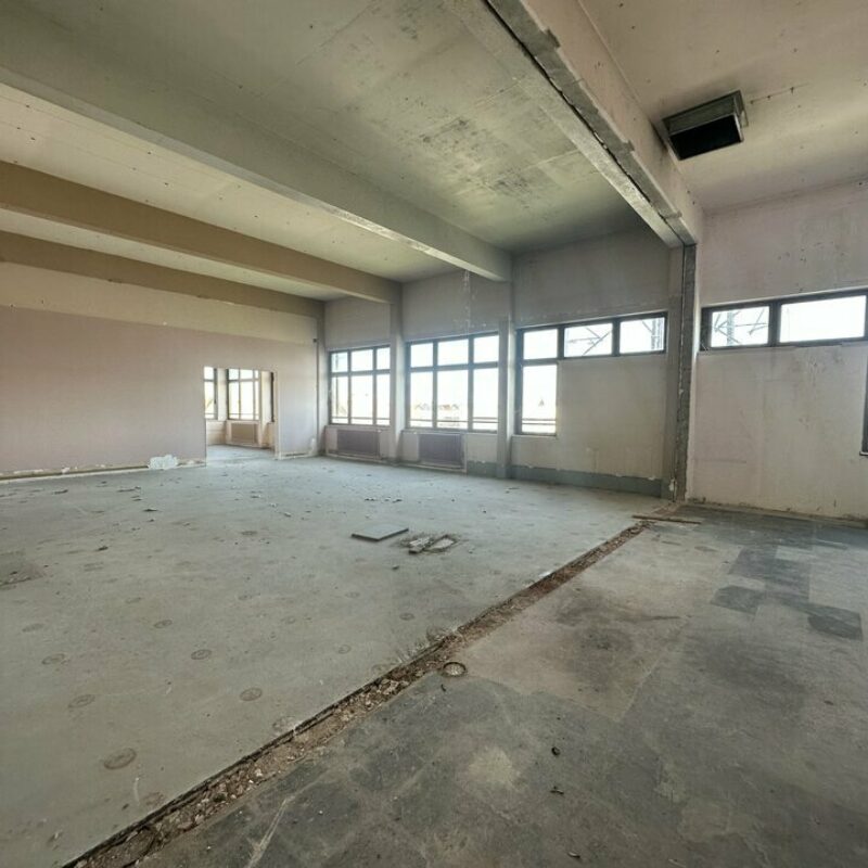 Vente - 801 m² - SELESTAT - 3