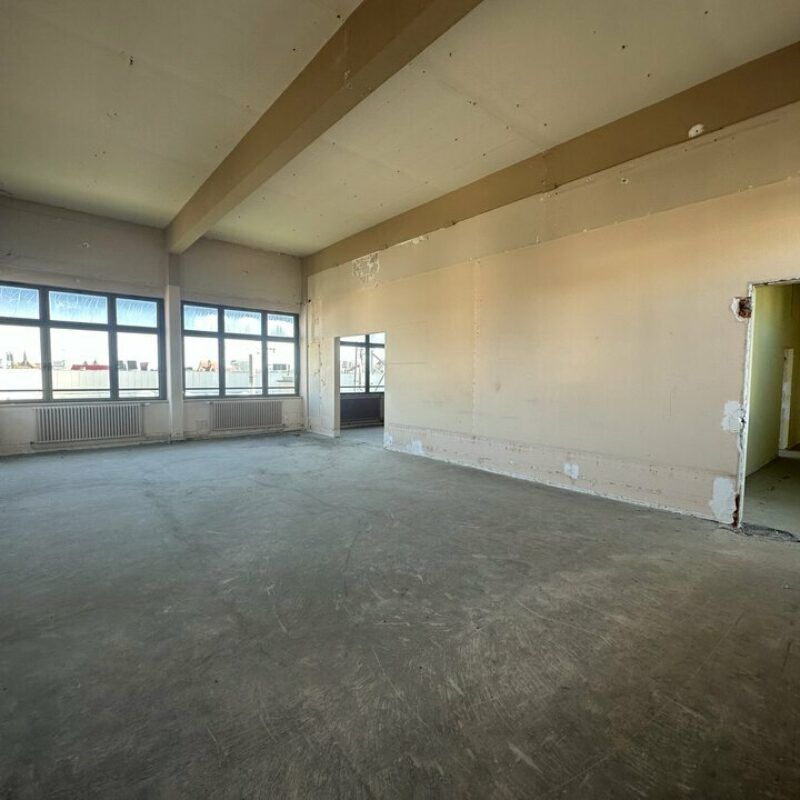 Vente - 801 m² - SELESTAT - 4