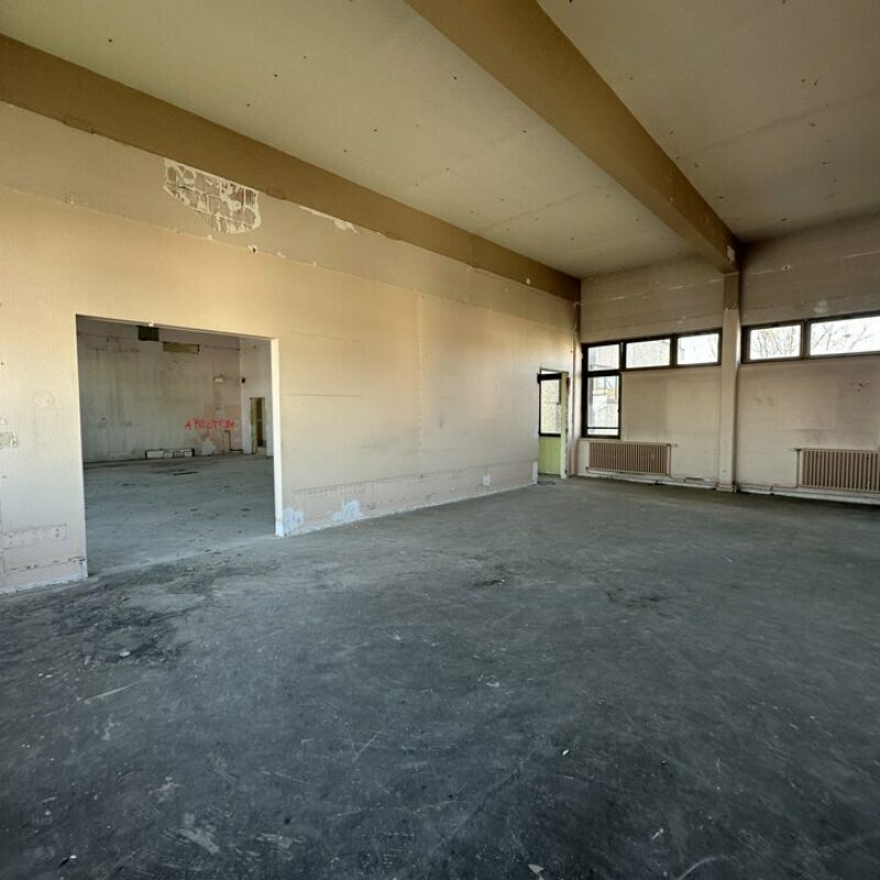 Vente - 801 m² - SELESTAT - 5
