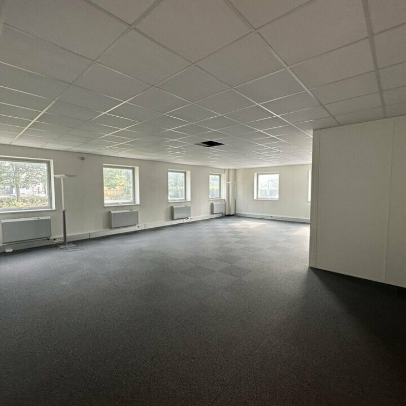 Location - 125 m² - ILLKIRCH GRAFFENSTADEN - 1
