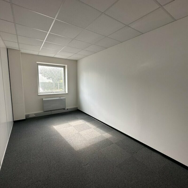 Location - 125 m² - ILLKIRCH GRAFFENSTADEN - 2