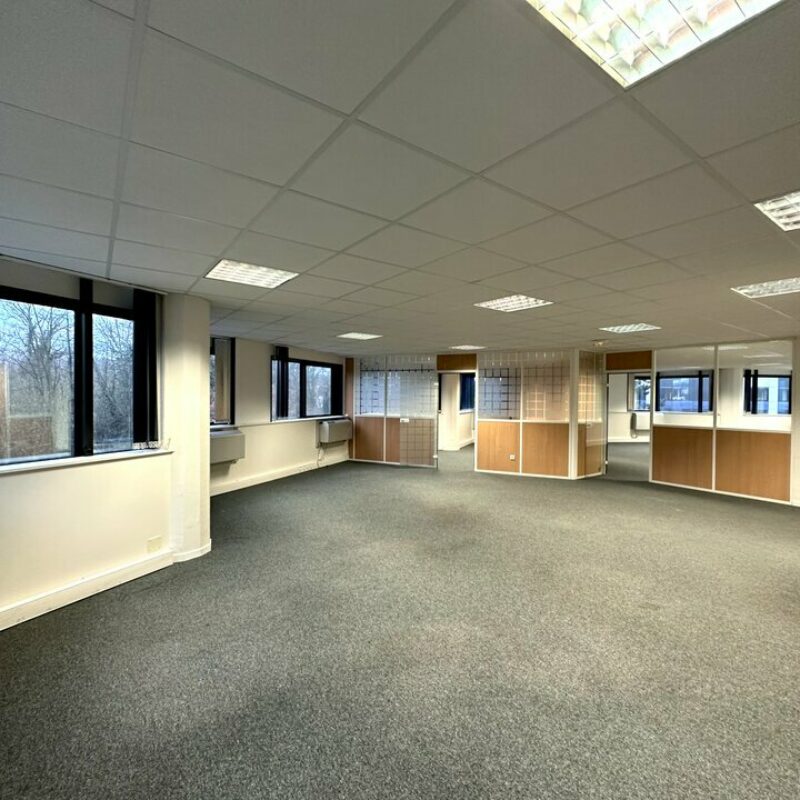 Vente - 250 m² - ILLKIRCH GRAFFENSTADEN - 1