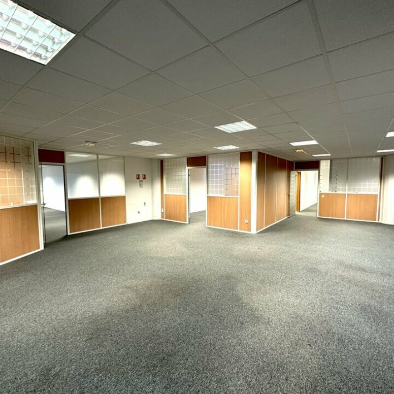 Vente - 250 m² - ILLKIRCH GRAFFENSTADEN - 4