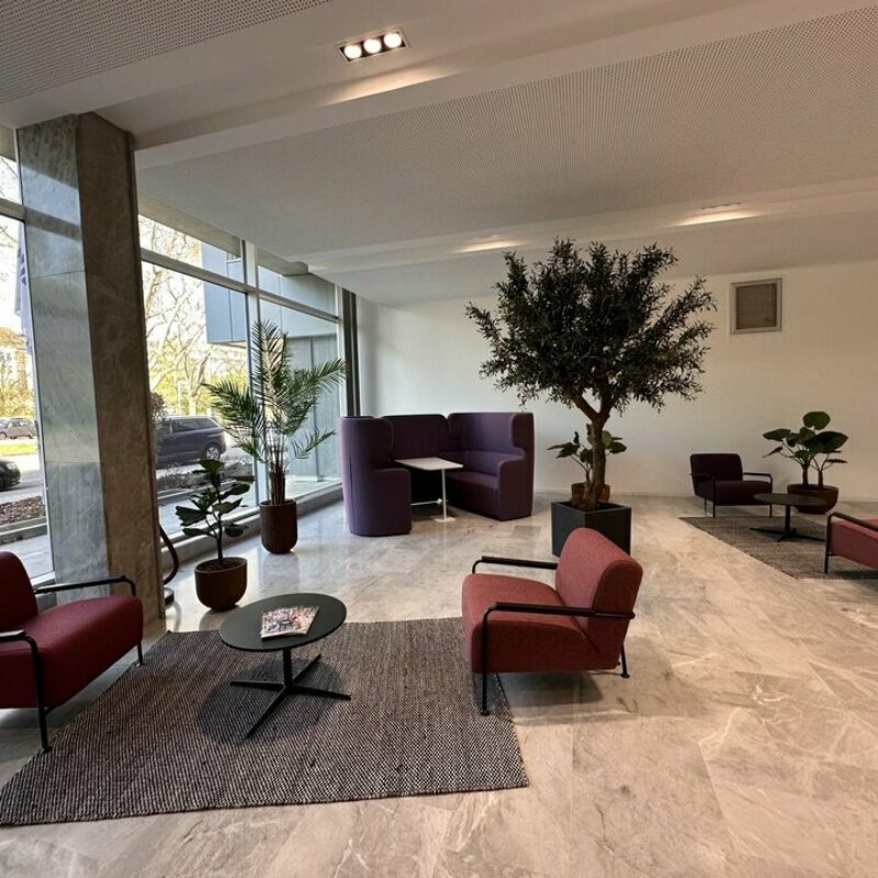 Location - 932 m² - STRASBOURG - 4