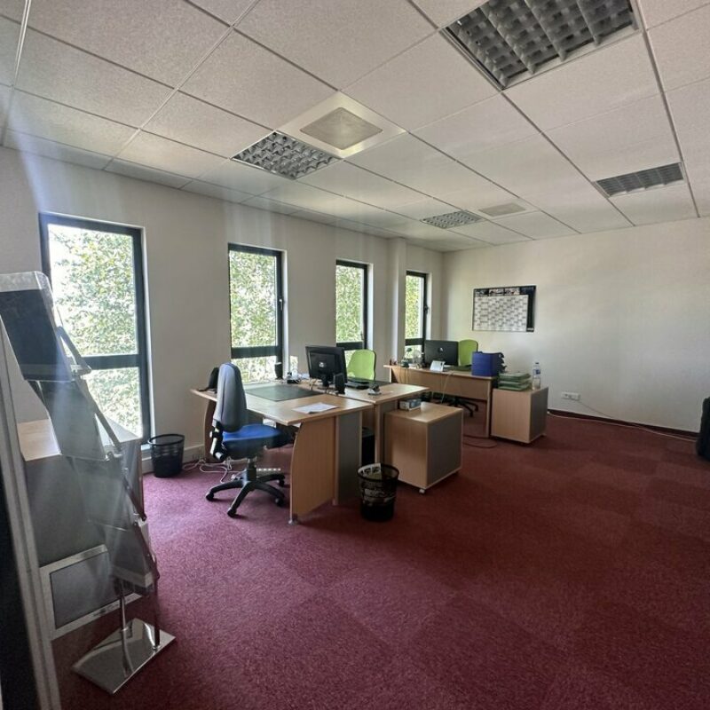 Location - 378 m² - SCHILTIGHEIM - 5