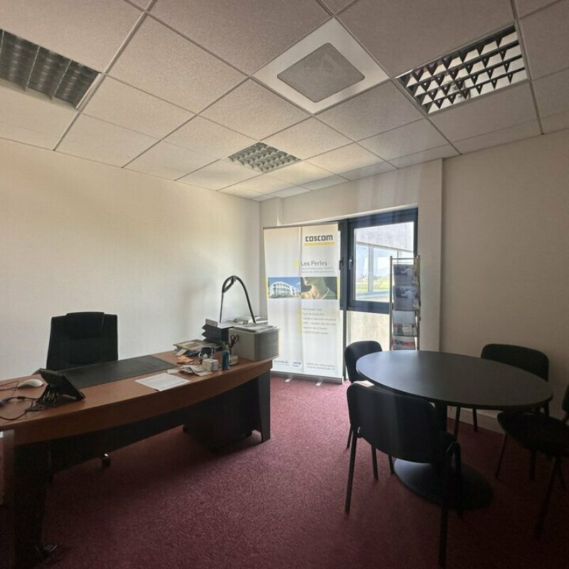 Location - 378 m² - SCHILTIGHEIM - 2