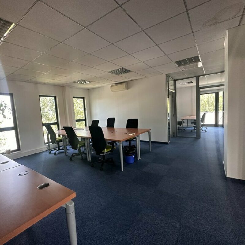 Location - 378 m² - SCHILTIGHEIM - 3