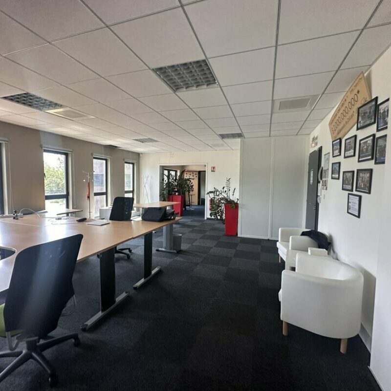 Location - 378 m² - SCHILTIGHEIM - 4