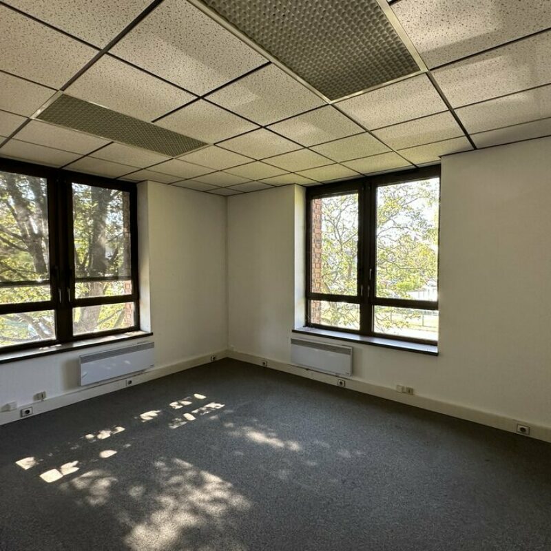 Location - 118.5 m² - LINGOLSHEIM - 3