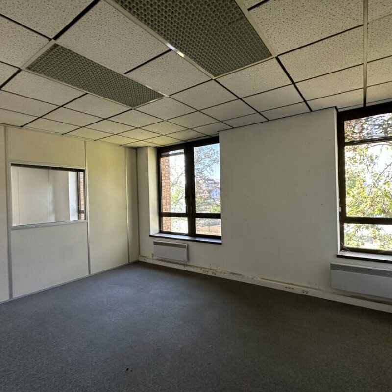 Location - 118.5 m² - LINGOLSHEIM - 4