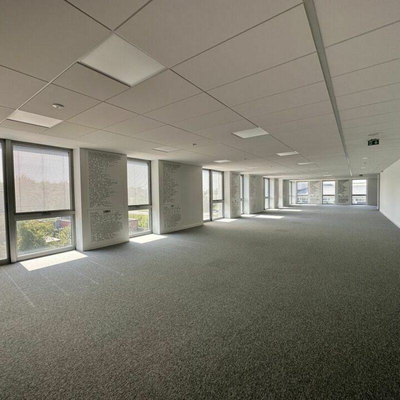 Location - 396 m² - ILLKIRCH GRAFFENSTADEN - 2