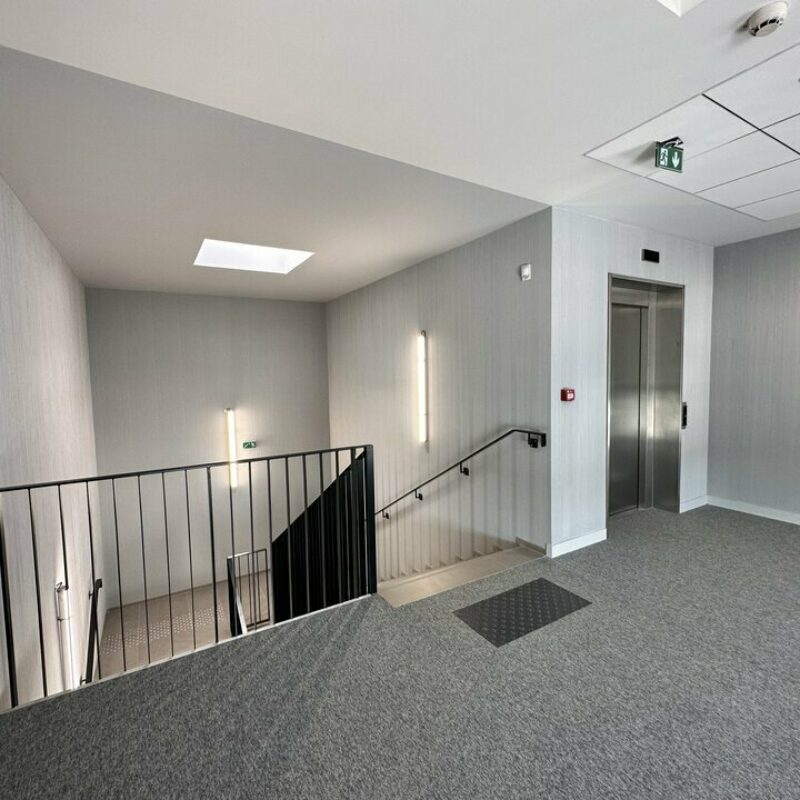 Location - 396 m² - ILLKIRCH GRAFFENSTADEN - 5