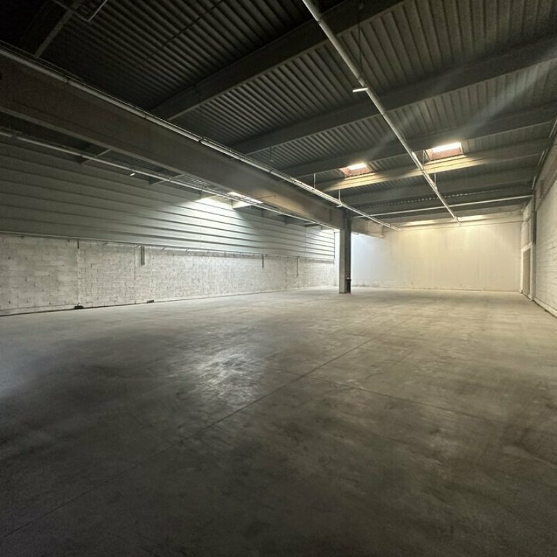 Location - 514 m² - BISCHHEIM - 5